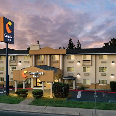 Comfort Inn מודסטו מראה חיצוני תמונה